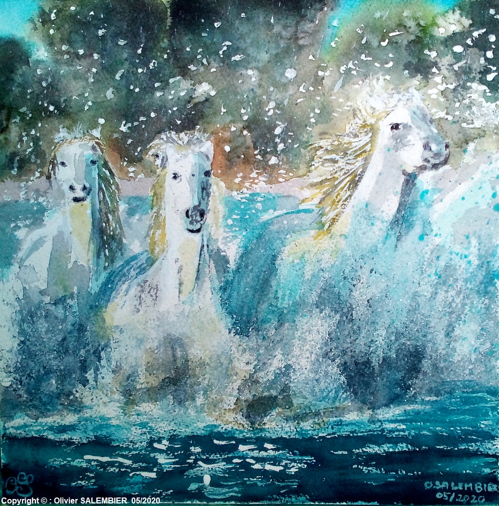 Chevaux en libert&eacute