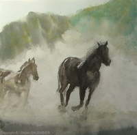 Chevaux sortis du bois